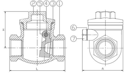 Check Socket