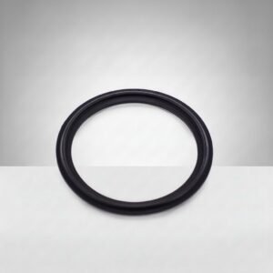 Clamp Gasket